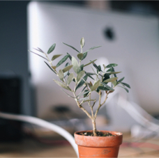 DeathtoStock_Creative Community1